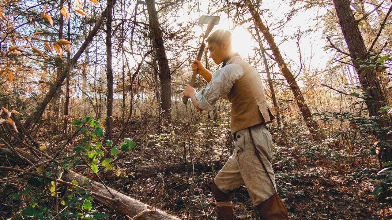 Large Tree Removal in Berry Hill, TN